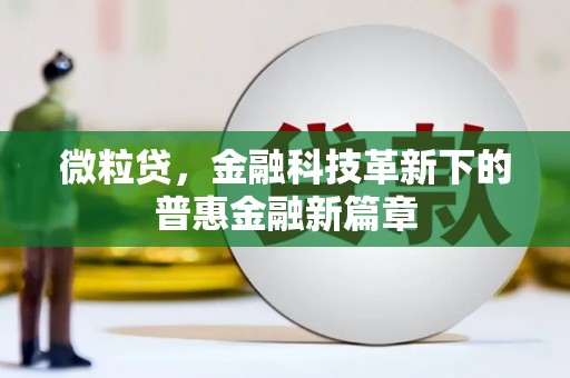 苏尼特右旗微粒贷，金融科技革新下的普惠金融新篇章