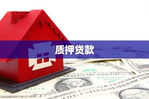 临沧质押贷款