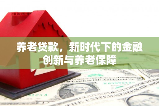 玛家养老贷款，新时代下的金融创新与养老保障