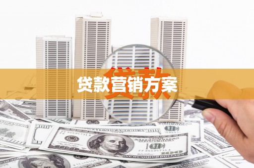 天元贷款营销方案