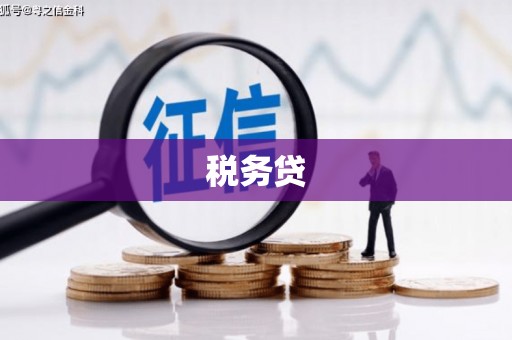 竹东税务贷