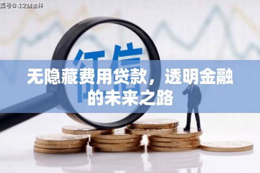 沙洋无隐藏费用贷款，透明金融的未来之路