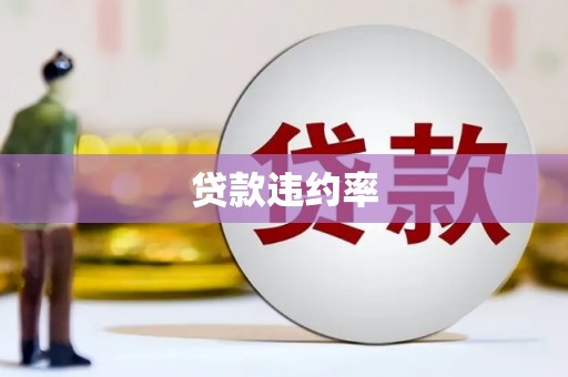 咸丰贷款违约率