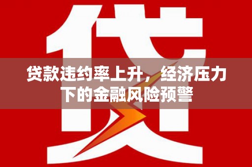 昭化贷款违约率上升，经济压力下的金融风险预警