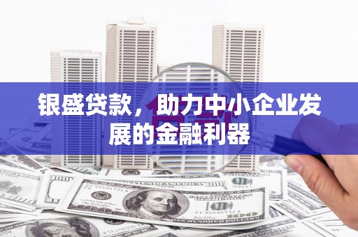昭化银盛贷款，助力中小企业发展的金融利器