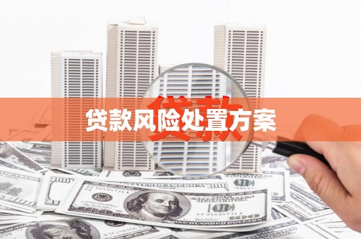 巧家贷款风险处置方案