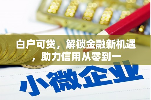 礼县白户可贷，解锁金融新机遇，助力信用从零到一