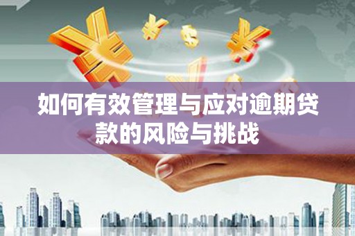 张北如何有效管理与应对逾期贷款的风险与挑战