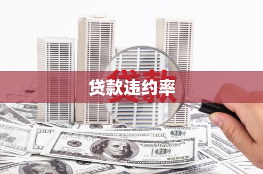 安康贷款违约率