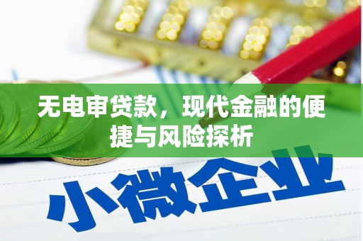 靖边无电审贷款，现代金融的便捷与风险探析
