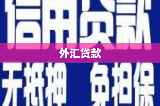 芎林外汇贷款