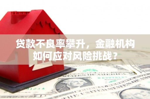 天元贷款不良率攀升，金融机构如何应对风险挑战？