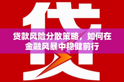 黔西贷款风险分散策略，如何在金融风暴中稳健前行