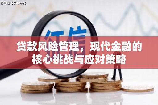 江川贷款风险管理，现代金融的核心挑战与应对策略