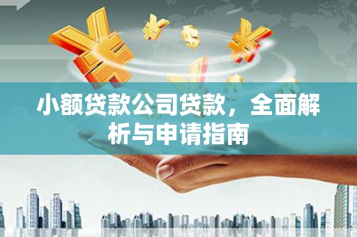嘉善小额贷款公司贷款，全面解析与申请指南