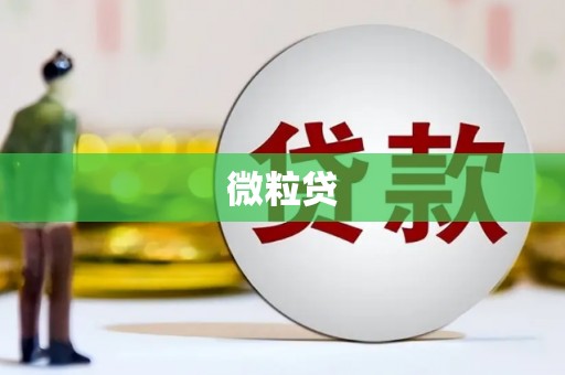 洞口微粒贷