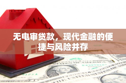 温岭无电审贷款，现代金融的便捷与风险并存