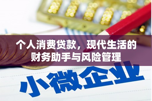 剑阁个人消费贷款，现代生活的财务助手与风险管理