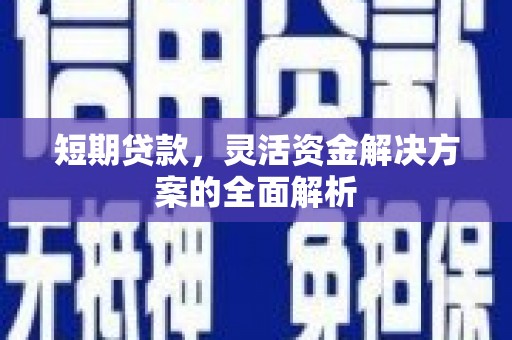 纳溪短期贷款，灵活资金解决方案的全面解析
