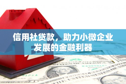 嵊州信用社贷款，助力小微企业发展的金融利器