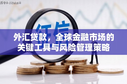久治外汇贷款，全球金融市场的关键工具与风险管理策略