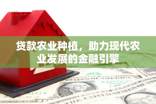正宁贷款农业种植，助力现代农业发展的金融引擎