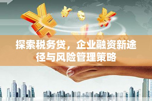 岳麓探索税务贷，企业融资新途径与风险管理策略