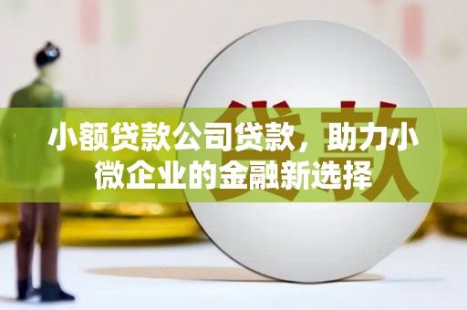 扎赉特旗小额贷款公司贷款，助力小微企业的金融新选择