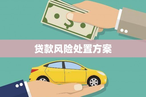 巴里坤贷款风险处置方案