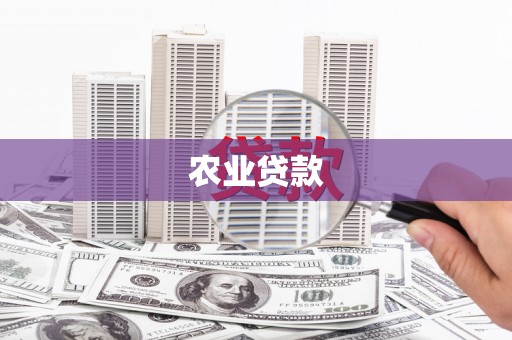 贵州农业贷款