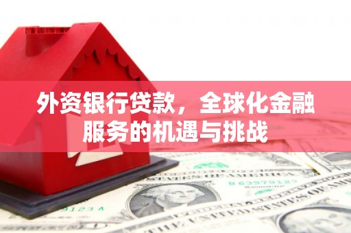 罗城外资银行贷款，全球化金融服务的机遇与挑战
