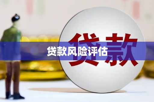 徽州贷款风险评估