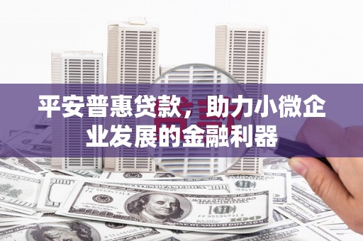 新建平安普惠贷款，助力小微企业发展的金融利器