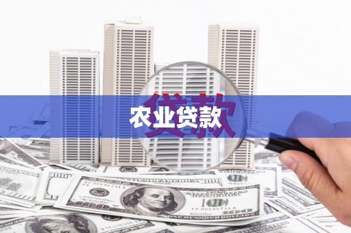 西吉农业贷款