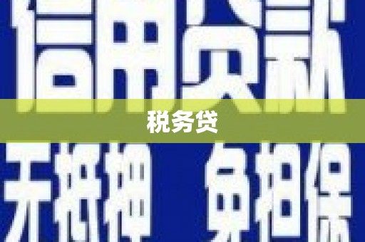 梁山税务贷