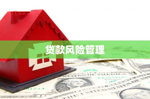 高陵贷款风险管理