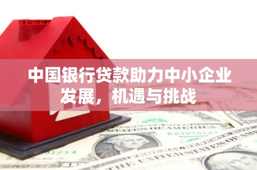 比如中国银行贷款助力中小企业发展，机遇与挑战