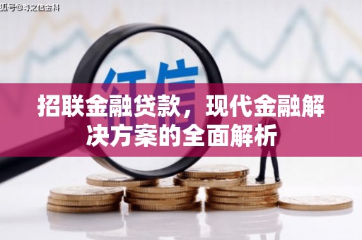 彭泽招联金融贷款，现代金融解决方案的全面解析