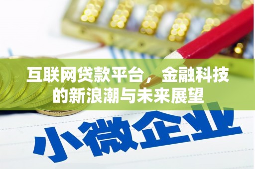 麦寮互联网贷款平台，金融科技的新浪潮与未来展望