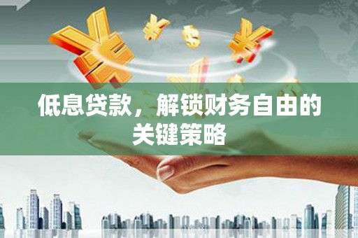 盐源低息贷款，解锁财务自由的关键策略