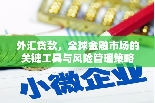 大余外汇贷款，全球金融市场的关键工具与风险管理策略