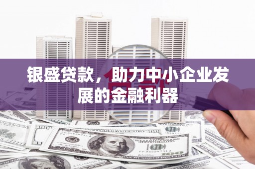 高淳银盛贷款，助力中小企业发展的金融利器