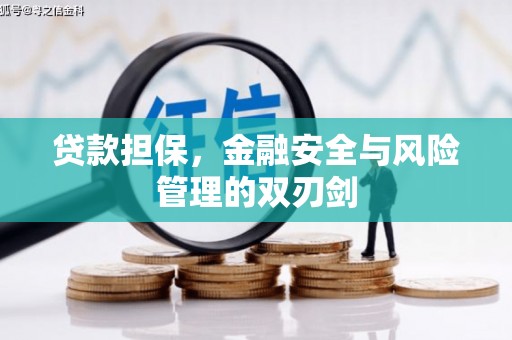 定襄贷款担保，金融安全与风险管理的双刃剑