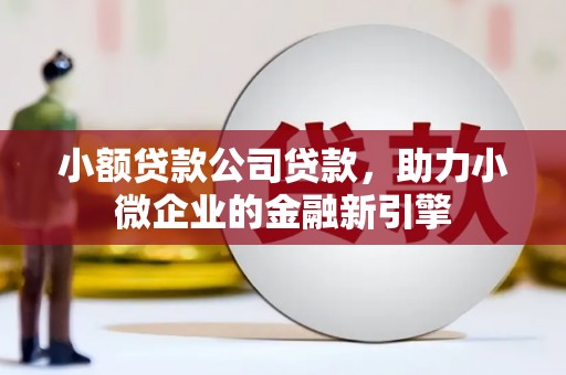 二水小额贷款公司贷款，助力小微企业的金融新引擎
