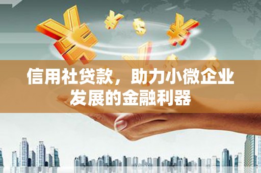 沧县信用社贷款，助力小微企业发展的金融利器
