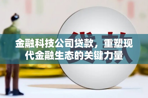 新乡金融科技公司贷款，重塑现代金融生态的关键力量