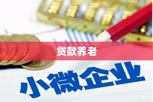 黔西南贷款养老