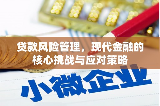 保靖贷款风险管理，现代金融的核心挑战与应对策略