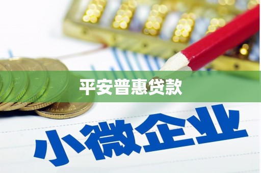 桥东平安普惠贷款