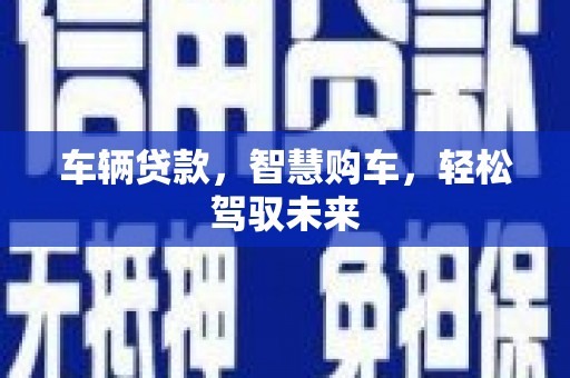 尼勒克车辆贷款，智慧购车，轻松驾驭未来